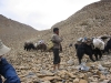 ladakh-2009-073